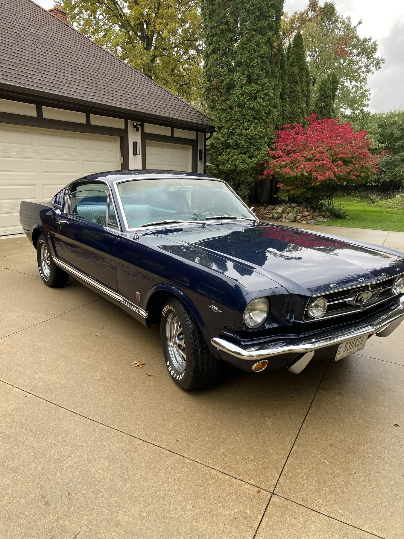 1965 Ford Mustang Fastback, photo 1